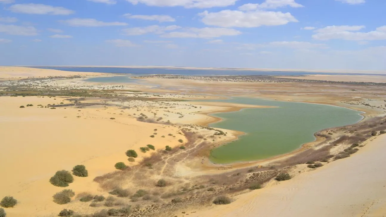 Wadi al Rayan Protected Area Egypt Travel Booking